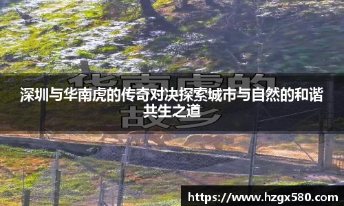 星空综合官网